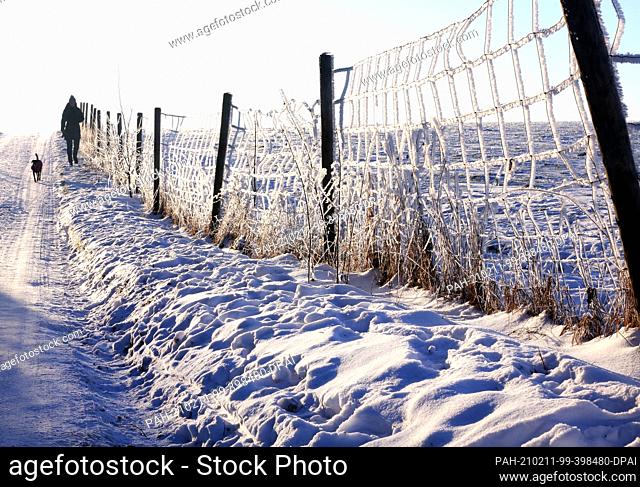 11 February 2021, North Rhine-Westphalia, Mülheim: Ice crystals cover the wire of a fence as a man walks a dog. It is supposed to stay cold