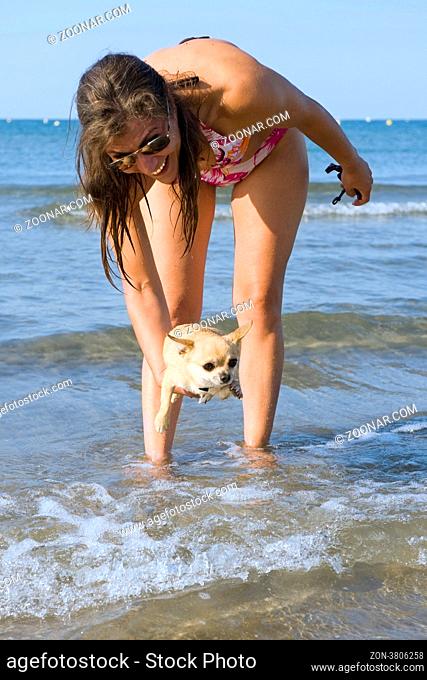 portrait of a cute purebred chihuahua and young woman on the beach