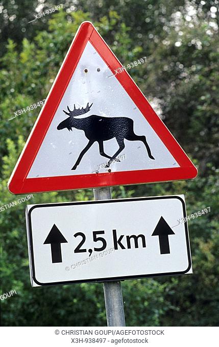panneau routier indiquant le passage frequent d'elans, region de Saare, Estonie, pays balte, europe du nord