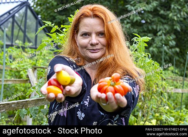 PRODUCTION - 16 August 2023, North Rhine-Westphalia, Hamm: Birgit Arndt holds various tomato varieties in her hands, on the right a so-called travel tomato