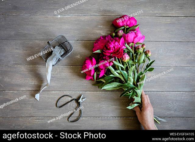 Hand of woman preparing bouquet of pink blooming peonies