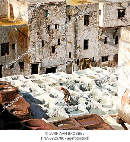 Traditional tanneries in Fez, Morocco