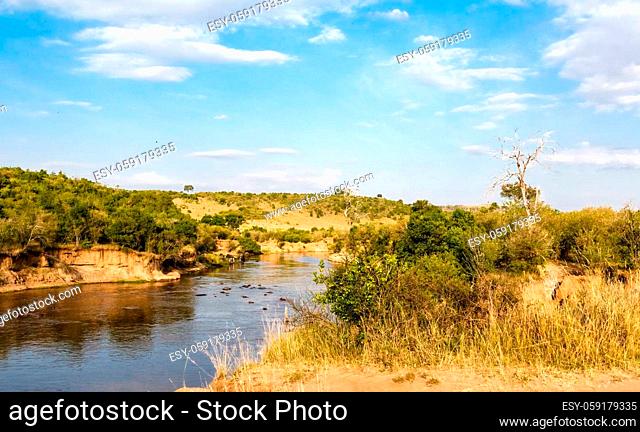 Mara river in Masai Mara. River among trees. Kenya