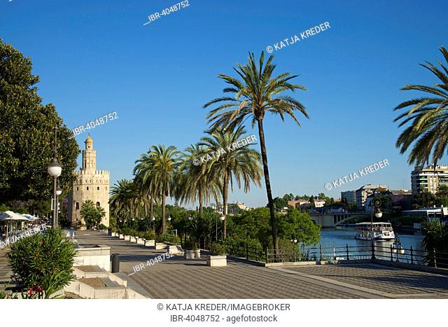 Torre del Oro on the waterfront of the Rio Guadalquivir, Seville, Andalucía, Spain