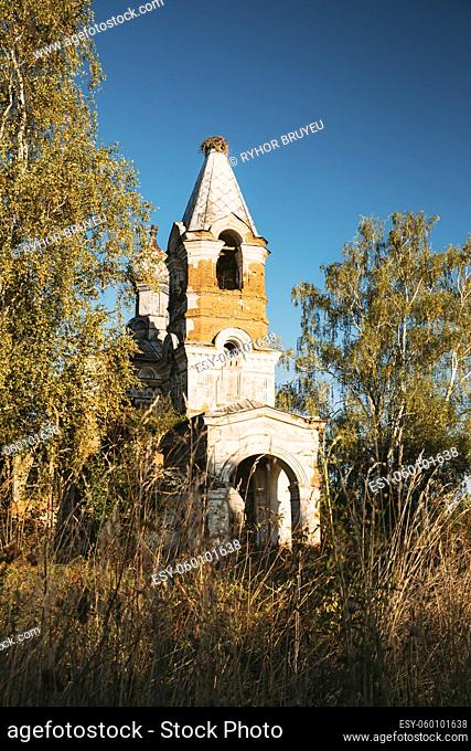 Martinovo, Beshenkovichsky District, Vitebsk Region, Belarus. Old Ruins Of Church Of The Intercession Of The Most Holy Theotokos
