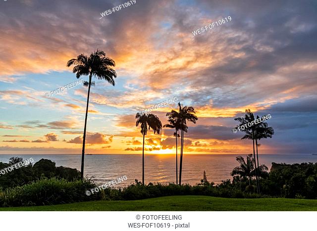 USA, Hawaii, Big Island, Onomea Bay at sunset