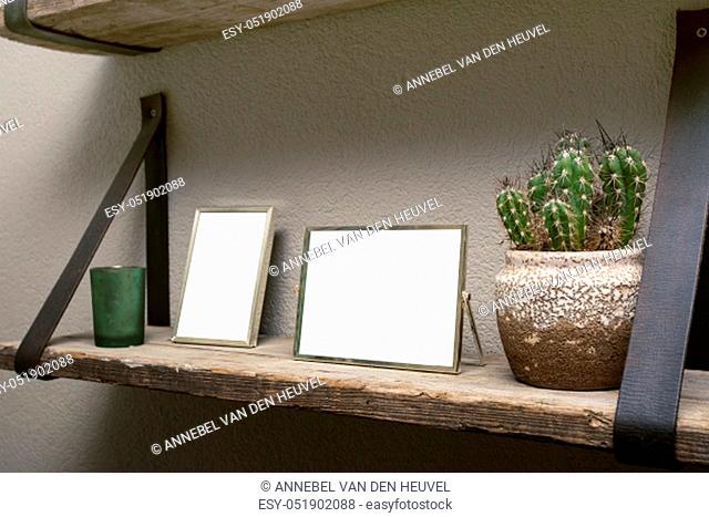 Two blank picture frames and cactus decoration on wooden shelf, industrial retro interior design space for text