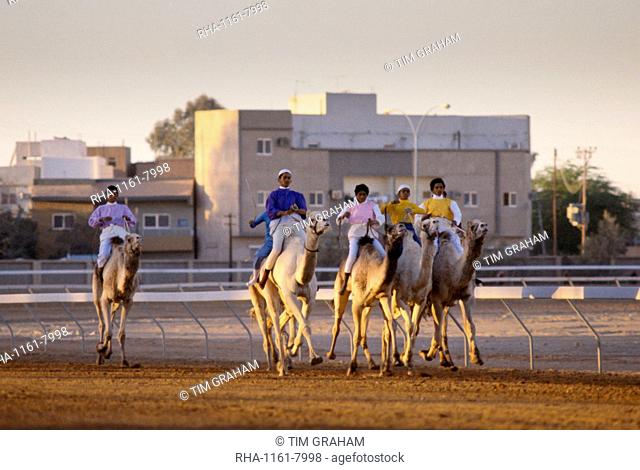 Camel racing at The Equestrian Club in Riyadh, Saudi Arabia