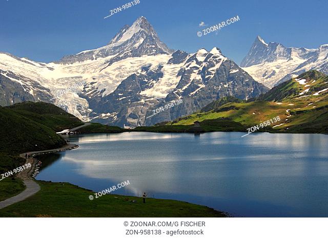 Am Bachalpsee, Blick auf die Schweizer Alpen mit Schreckhorn und dem Finsteraarhorn, Grindelwald, Berner Oberland, Schweiz / At the mountain lake Bachalpsee