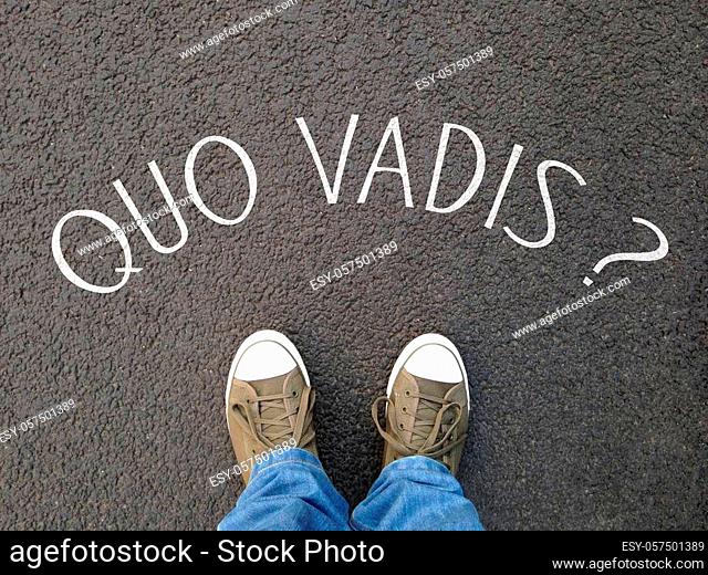 quo vadis is a latin phrase meaning where are you going - foot selfie on street with question written on asphalt - confusion destiny uncertainty concept