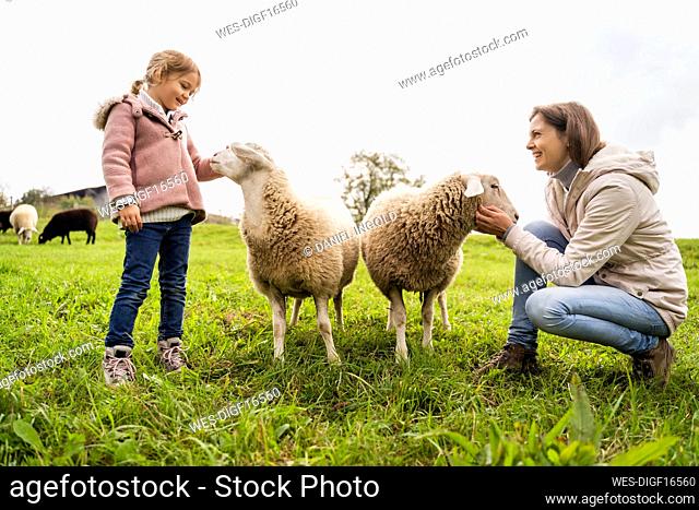 Smiling mother and daughter with sheep at field