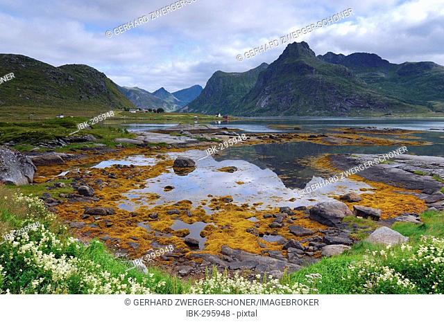Landscape near Austvagoy, Lofoten, Norway, Scandinavia