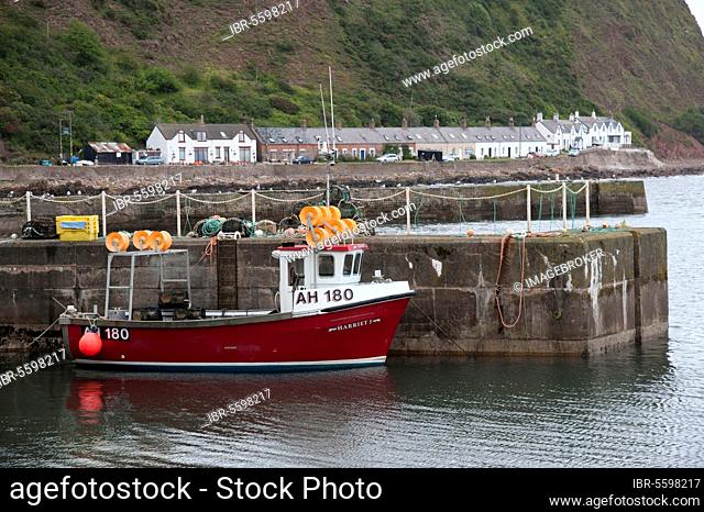 Lobster fishing boat at harbour of fishing village Burnmouth, Scottish Borders, Scotland, United Kingdom, Europe