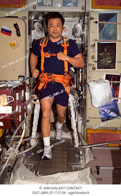 Astronaut Leroy Chiao, Expedition 10 commander and NASA ISS science officer, equipped with a bungee harness, exercises on the Treadmill Vibration Isolation...