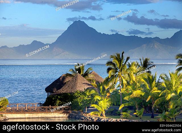 Coconut Palm tree on the beach, sea and mountains at sunset, Tahiti