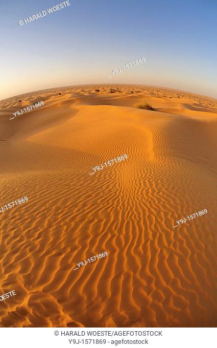 Africa, Tunisia, nr  Ksar Rhilane  Sunrise over Ksar Ghilane in the sand dunes on the eastern edge of the Grand Erg Oriental in the Sahara desert