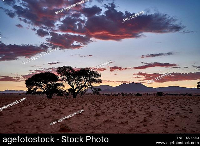 NamibRand Nature Reserve, Republic of Namibia, South Africa, Africa