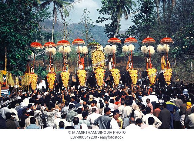 Uthralikavu pooram elephant march festival at Vadakancherry near Trichur , Kerala , India