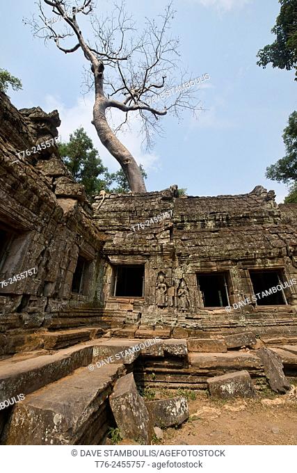 Ta Phrom, the jungle temple at Angkor Wat in Siem Reap, Cambodia