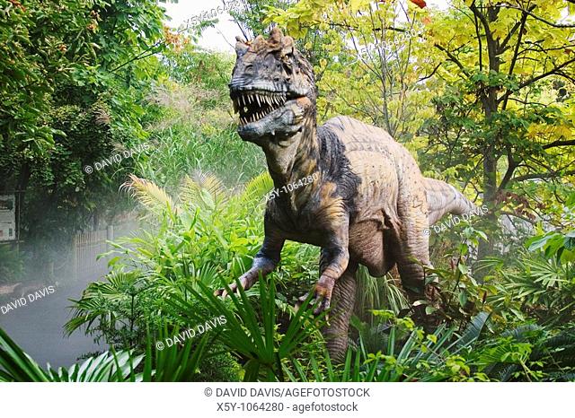 Metriacanthosaurus which means 'moderately spined' dinosaur from the late Jurassic period  Goes to a length of 27 feet and weighted 1 ton  Was a meat eater...