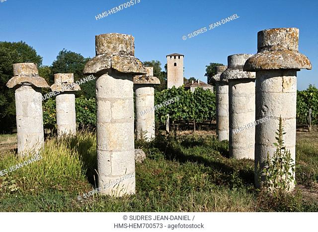 France, Gers, near Montreal, Tour de Lamothe, defense tower of the thirteenth and the stone piers of an ancient dovecote in the background Armagnac vineyards