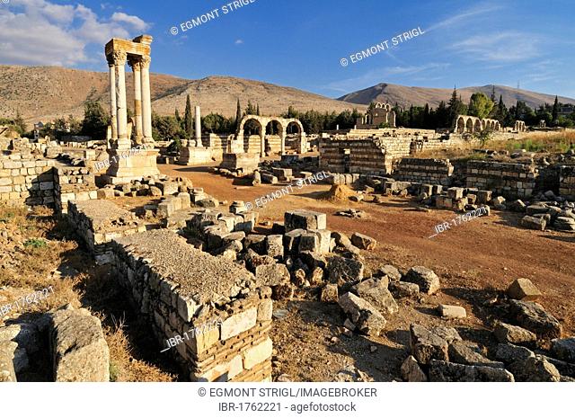 Antique Umayyad ruins at the archeological site of Anjar, Unesco World Heritage Site, Bekaa Valley, Lebanon, Middle East, West Asia