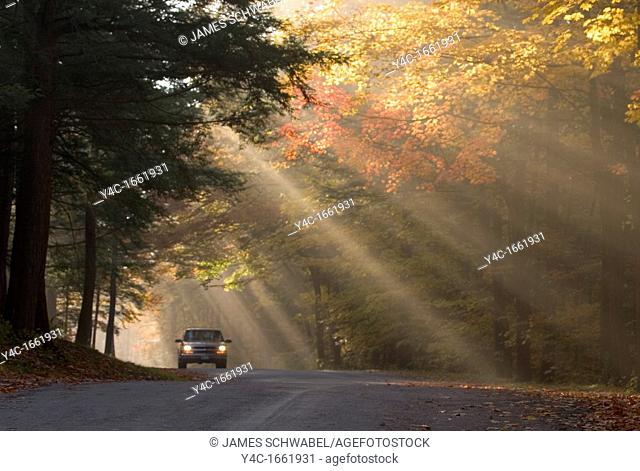 Lone car on road in backlit fog in fall colored trees in Chestnut Ridge Park in Western New York State
