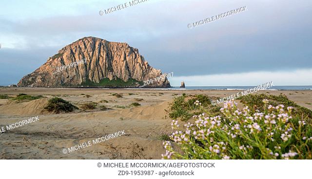 The Rock at Morro Bay, California