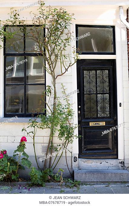 Netherlands, Groningen, House, Entrance door, Plants, hollyhocks