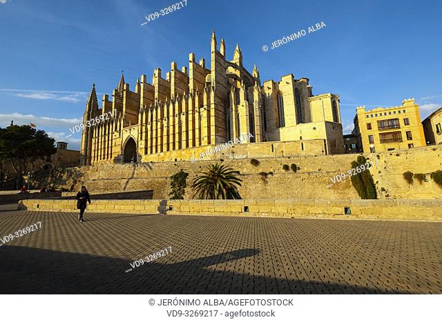 La Seu Cathedral, Palma de Mallorca. Majorca, Balearic Islands, Spain Europe