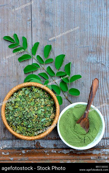 Moringa, Moringa powder in bowl with wooden spoon, dried and fresh Moringa leaves, Moringa powder, Moringa oleifera