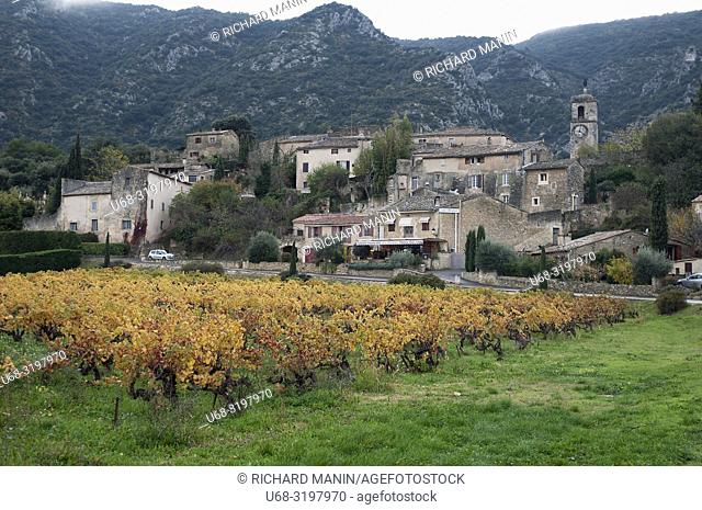 France, Provence, Vaucluse, autumn landscape in the Luberon