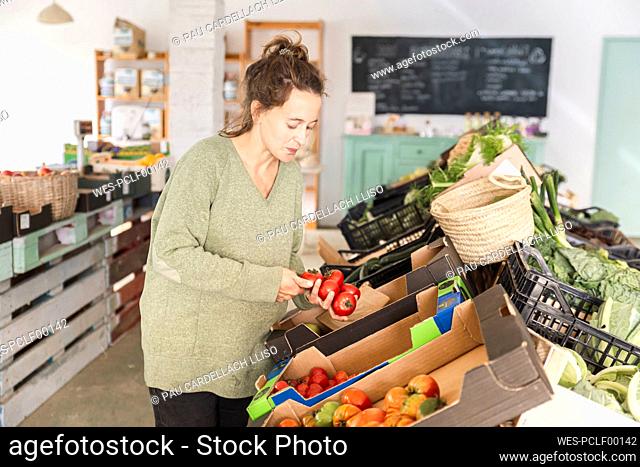 Customer buying fresh tomatoes in greengrocer shop
