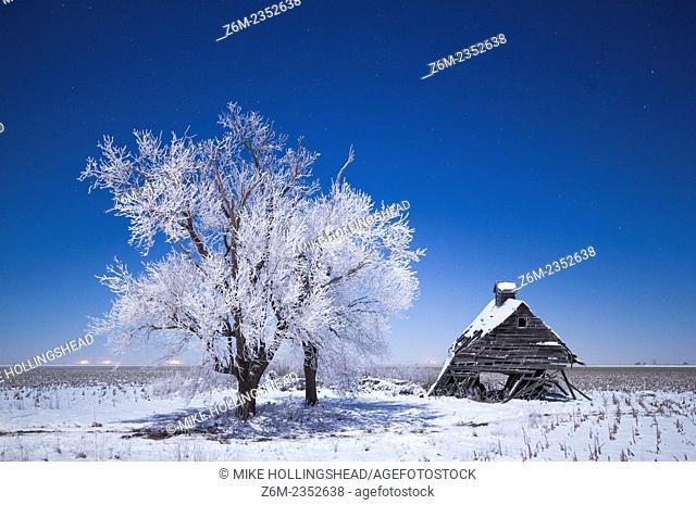 Moon lights frost covered trees and collapsing barn in western IA during bitter cold freezing fog in sub-zero F temps