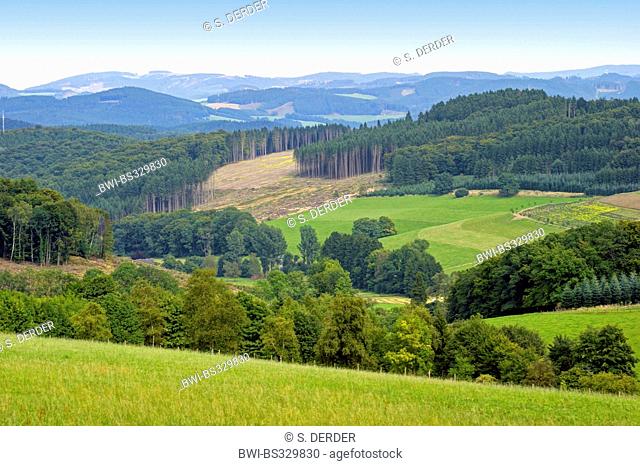 panoramic view to Sauerland towards Asten area, Germany, North Rhine-Westphalia, Sauerland, Cobbenrode