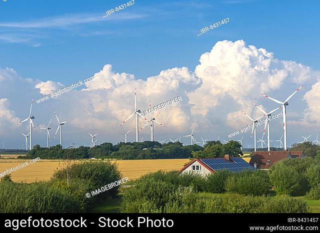 Wind turbines in the marshes of the Reussenköge, building with solar system, agriculture, grain cultivation, blue sky, North Friesland, Schleswig-Holstein