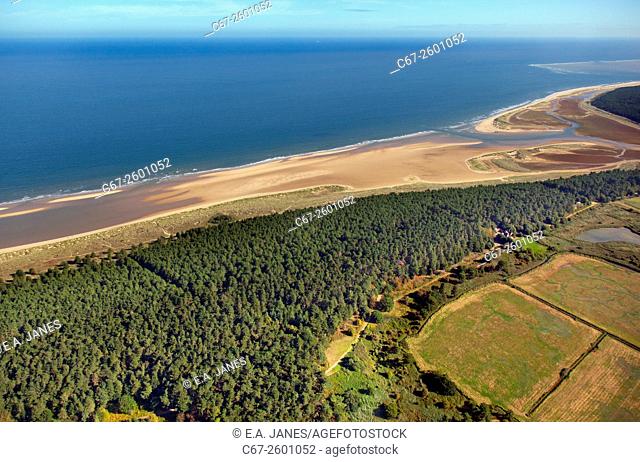 Holkham bay and pinewoods Norfolk from the air