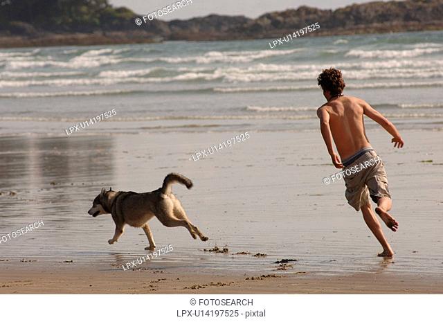 Man chasing dog on beach