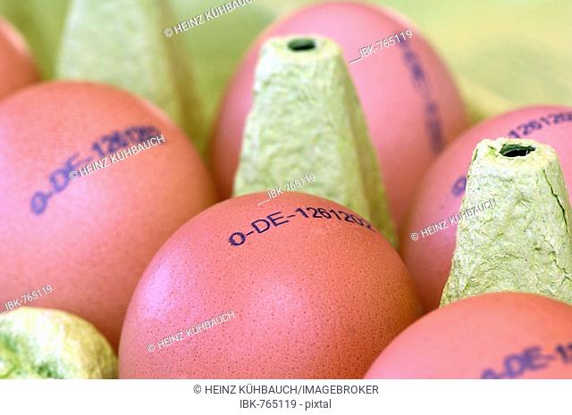 Stamped eggs, carton of eggs