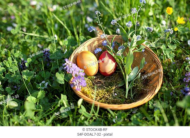 Easter basket in meadow