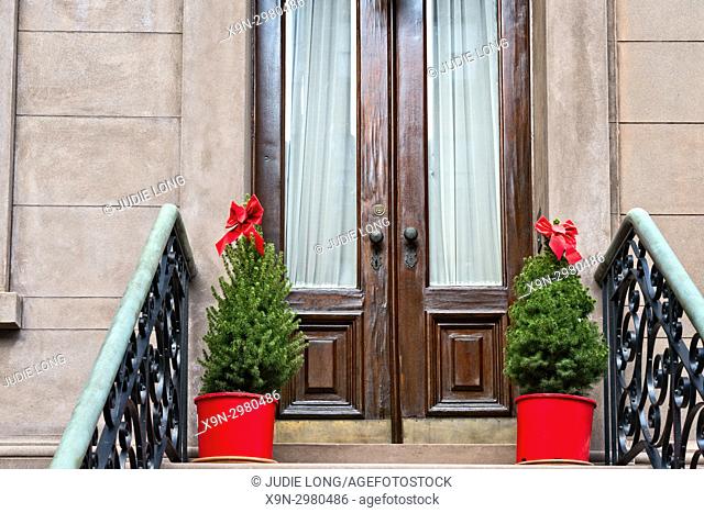Miniature Christmas Trees Decorating the Front Stoop of a Manhattan, New York City, Brownstone Townhouse