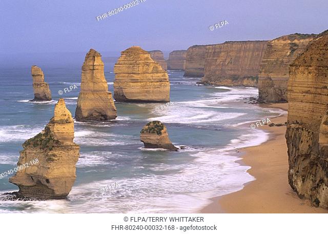 Limestone sea stacks, The Twelve Apostles, Port Campbell N P , Great Ocean Road, Victoria, Australia