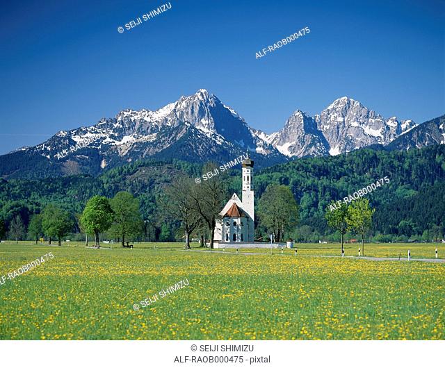 Coleman church surrounded by dandelion and mountains
