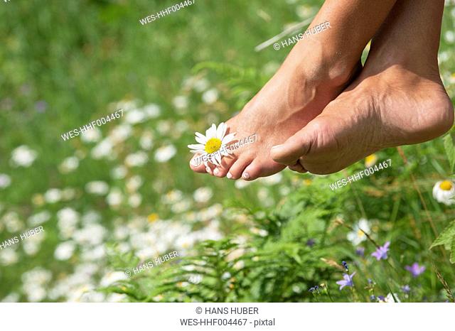 Austria, Altenmarkt-Zauchensee, Mid adult woman holding flower between toes