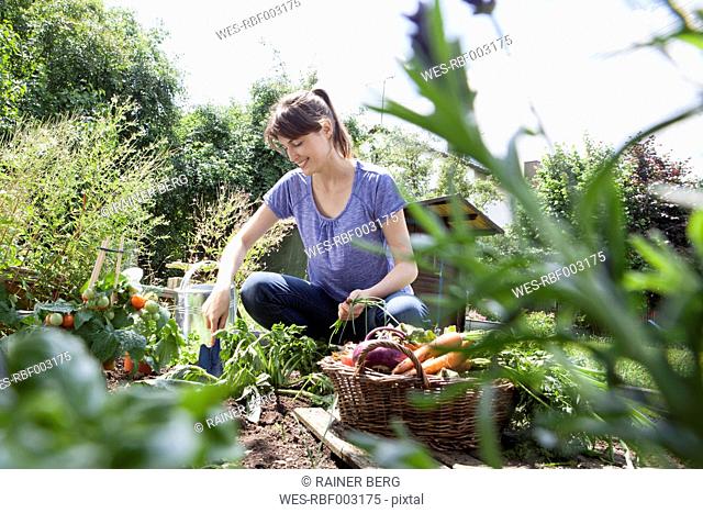 Smiling woman gardening in vegetable patch