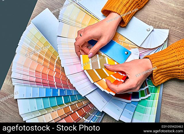 Color Palette On White Paper Background. Guide Of Paint Samples