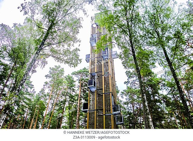 Viewing Tower in the Dzintari Forest Park, Jurmala, Latvia, Europe