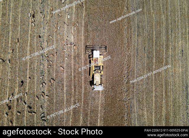 11 June 2022, Syria, Hama: An aerial view of Syrian men operating a combine harvester near a flock of sheep at a field during the wheat harvesting season in...