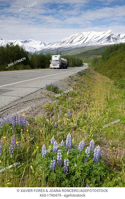 View from Richardson Highway, Alaska, U S A