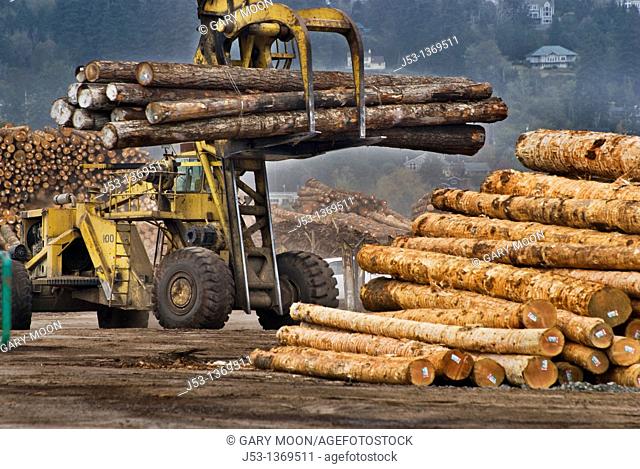 Massive logging machine moving softwood logs at lumber mill, Coos Bay Oregon